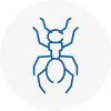 Ant Removals In North Berwick