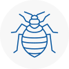 Bed Bug Extermination In North Berwick