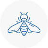Bee Nest Removal North Berwick