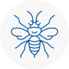 North Berwick Hornet Nest Removals