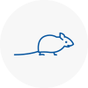Mice Exterminators In North Berwick