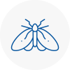 Moth Control Specialists In North Berwick