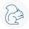 North Berwick Rodent Removals